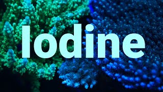 Iodine amp Reef Tanks  How it affects your SPS Corals and more [upl. by Stortz]