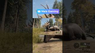 SUPER RARE MELANISTIC DIAMOND WHITETAIL COTW callofthewild thehuntercallofthewild superrare [upl. by Gussy45]