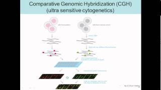 comparitive genomic hybridization [upl. by Seavir]