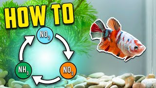 Best Nitrogen Cycle Guide for Beginners Different Methods Explained [upl. by Annej]