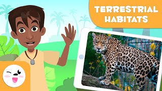 Explore Terrestrial Habitats  Types of Habitats for Children [upl. by Ronda124]