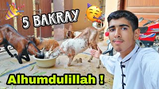 BAKRA EID VLOG 2023 🔥 QURBANI VLOG GOT EMOTIONAL 😭 Ibrahim Asim  Bakray qurban krdiye Alhumdulillah [upl. by Nosyrb]