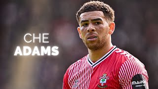 Che Adams  Season Highlights  2024 [upl. by Talia]