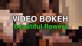 VIDEO BOKEH beautiful flowers😱 [upl. by Myo]