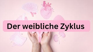 Der weibliche Zyklus  kurz erklärt [upl. by Cis516]