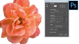 Photoshop CC  Restore the Refine Edge Tool [upl. by Darken]