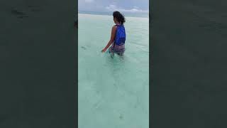 Lagoon Walk at Bangaram Lakshadweep with family [upl. by Yluj]