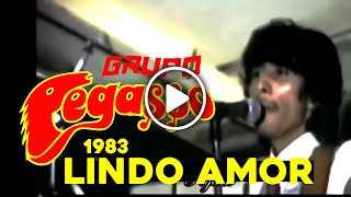 1983  Grupo Pegasso  LINDO AMOR  El Titere  Emilio y El Pollo [upl. by Anerhs]