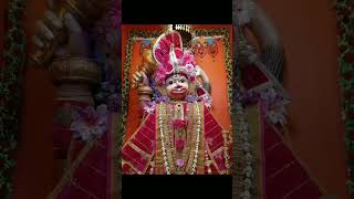 🙏 only daily Saturday Darshan jiragadh rokadiya dada YouTube channel [upl. by Sauls]