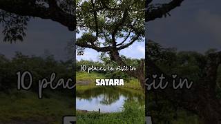 10 places to visit in Satara 💚🍂 satara maharashtra thoseghar kaasplateau youtubeshorts travel [upl. by Louisette]