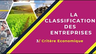 📌EOAE 1ère Bac Sc Eco  Lentreprise et son Environnement 15 👉 Classification Ese selon lactivité [upl. by Gelb]