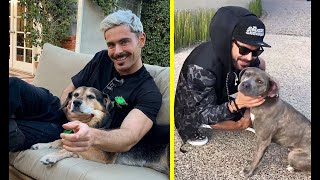 Zac Efron Adorable Dogs [upl. by Ynelram839]