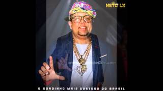 Neto Lx  Gordinho Gostoso  LETRA  Musica do CARNAVAL 2015 [upl. by Okram]