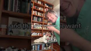 How to treat dog or cat abscess at home [upl. by Htebi]