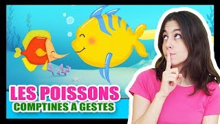 Les petits poissons dans leau  Comptines à gestes pour les bébés  Titounis [upl. by Lucho562]