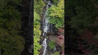 Amicalola Falls is a 729foot 222 m waterfall on Amicalola Creek in Dawson County Georgia [upl. by Tray855]