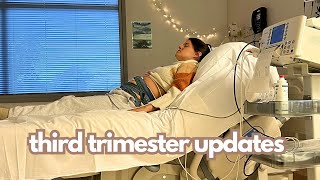 An Unexpected Hospital Visit amp Third Trimester Updates [upl. by Zeba570]