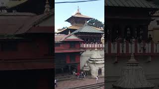 music jun maya lai ful samja ko travel promade kheral [upl. by Luapnoj]