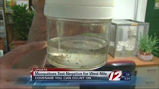 RI Mosquitoes Test Negative for EEE West Nile Virus [upl. by Ekenna361]