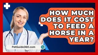 How Much Does It Cost to Feed a Horse in a Year  PetGuide360com [upl. by Lorri]