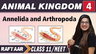 Animal Kingdom 04  Annelida and Arthropoda  Class 11NEET  RAFTAAR [upl. by Ttenneb942]