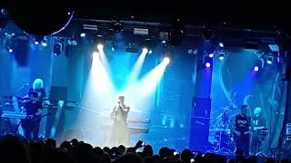 Saga  Don t be late  live 27112024  Hamburg  Große Freiheit 36  Grateful [upl. by Ahsiloc763]