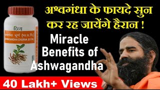 Benefits of Ashwagandha Powder amp Capsule अश्वगंधा के चमत्कारी फायदे [upl. by Yendis]