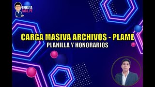 CARGA MASIVA ARCHIVOS AL PLAME  MACRO PLAME  TRIBUTAFACIL [upl. by Renferd100]