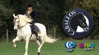 CABALLOS  CAP 65 HD LA RED [upl. by Maxantia]