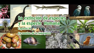 La extinción de especies y la Especie Humana [upl. by Kraus947]