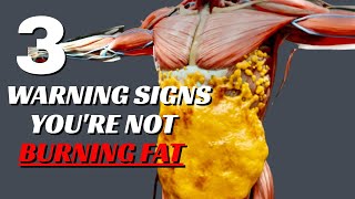 This STOPS You From Losing Fat [upl. by Dionysus]