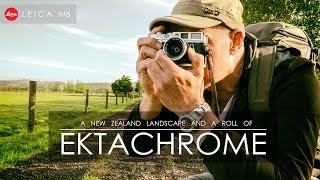 Ektachrome E100  Leica M6  And a New Zealand Landscape [upl. by Vachil896]