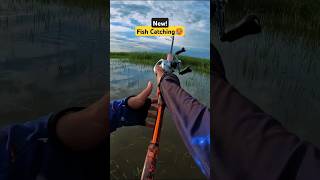 Best fishing 2024  fishing skills  hook fishing fish shorts catchingfish bait carp river [upl. by Letsou]