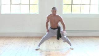 The 5 Fundamental Shaolin Stances  Qigong and Kung Fu [upl. by Haodnanehs]