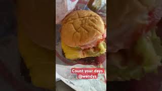 What kind of 💩 is this Wendys shorts food review [upl. by Akienom]