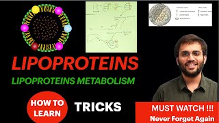 Lipoproteins Biochemistry  Lipoprotein Metabolism Structure Function  Lipid Metabolism Video [upl. by Sellers]