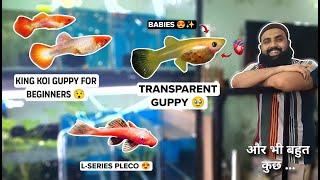 New strains of Guppy fish  LSeries Plecos at  Bettas  S2 Aquatics  Feat Sharique Bhai [upl. by Tisha]