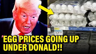 Trump LIES on Egg Prices BLOW UP in HIS FACE [upl. by Petigny664]