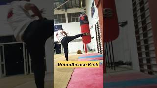 Knockout body kick 🦵 taekwondo kickboxingtraning martialarts kicktechniques mma kickboxing [upl. by Natale345]