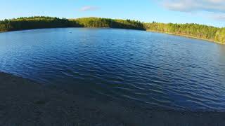 4K Spring Sunrise Walk around Walden Pond in Concord Massachusetts [upl. by Enrobso]