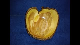 Wood Turning Pear Crotch Bowl The Apple of my Eye [upl. by Reddy]