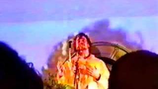 The Flaming Lips  The spiderbite song Live [upl. by Winni175]