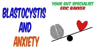 Blastocystis And Anxiety [upl. by Volding875]