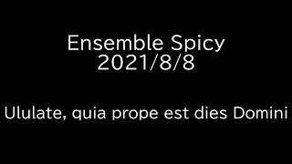 Ululate quia prope est dies Domini Ensemble Spicy [upl. by Putscher]