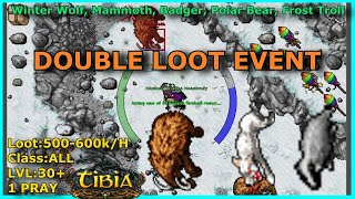 Double Loot EVENT Winter Wolf Mammoth Badger Polar Bear Frost Troll  Loot 500600kH  TIBIA [upl. by Jamilla]