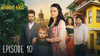 Wounded Birds  Episode 10  Multi Lang Subtitles Turkish Drama  Yaralı Kuşlar 2019 [upl. by Winny]