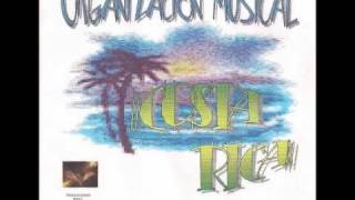 CUMBIA GABACHA  ORGANIZACION MUSICAL COSTA RICA  PUEBLO NUEVO  TLALMANALCO [upl. by Rekoob]