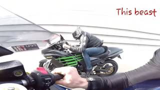 ZX14R 2016 vs build HAYABUSA Smackdown [upl. by Portia]