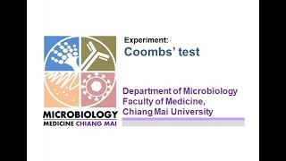 การทดลองที่ 51 Direct and Indirect Coombs test New [upl. by Nedla]