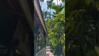 Placid Garden resort  Swaraj Dweep [upl. by Ripleigh91]